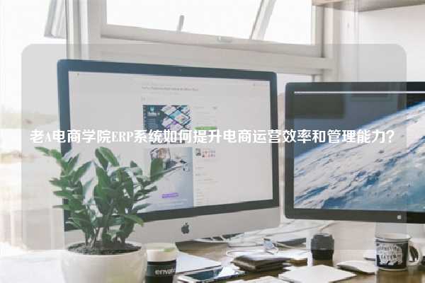 老A电商学院ERP系统如何提升电商运营效率和管理能力?