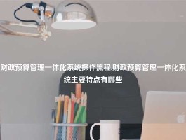 财政预算管理一体化系统操作流程,财政预算管理一体化系统主要特点有哪些