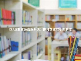 ERP企业资源管理系统：提升企业效率的利器