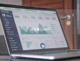 什么是 C-ERP？