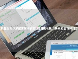 湖北规模大的铝材ERP软件如何提升生产效率和管理水平？