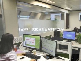 环思ERP：优化企业管理的新选择