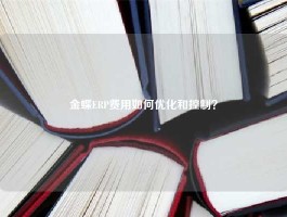 金蝶ERP费用如何优化和控制？
