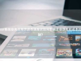 ERP系统业务流程改进市场现状如何影响企业效率和成本控制？