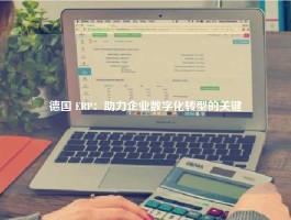 德国 ERP：助力企业数字化转型的关键