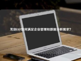 龙剑ERP如何满足企业管理和数据分析需求？