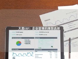 大嘉ERP：企业管理的理想选择