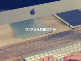 ERP沙盘模拟最佳方案