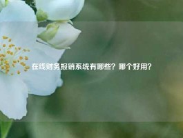 在线财务报销系统有哪些？哪个好用？