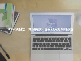 ERP实践报告：如何有效实施企业资源规划系统