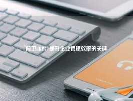 前卫ERP：提升企业管理效率的关键