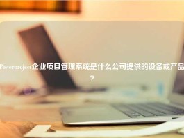 Powerproject企业项目管理系统是什么公司提供的设备或产品？