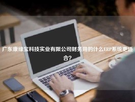 广东康绿宝科技实业有限公司财务用的什么ERP系统更适合？