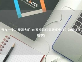 开发一个功能强大的ERP系统软件需要多少钱？如何优化成本？