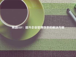 集团ERP：提升企业管理效率的解决方案