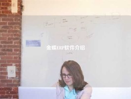 金蝶ERP软件介绍
