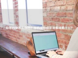 自带档案怎么存档？存档步骤和注意事项是什么？