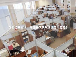 企业档案查询：如何有效获取企业背景信息？