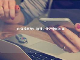 ERP分销系统：提升企业效率的利器