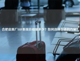 合肥皮具厂ERP系统价格是多少？如何选择合适的方案？