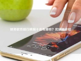 财务软件排行榜前十名有哪些？优缺点介绍