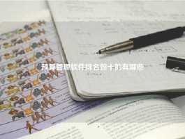 预算管理软件排名前十的有哪些