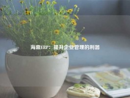 海鼎ERP：提升企业管理的利器