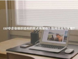 ERP中企业组织结构的特点有哪些？如何优化与实施？
