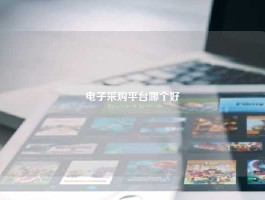 电子采购平台哪个好