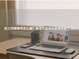 员工档案编号怎么编？最佳方法与注意事项是什么？