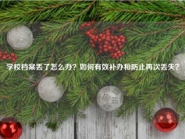 学校档案丢了怎么办？如何有效补办和防止再次丢失？
