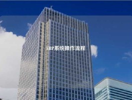 ERP系统操作流程