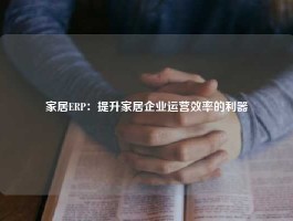 家居ERP：提升家居企业运营效率的利器