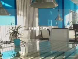 ERP是什么软件