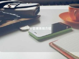 ERP管理系统介绍