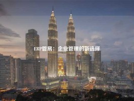 ERP管易：企业管理的新选择