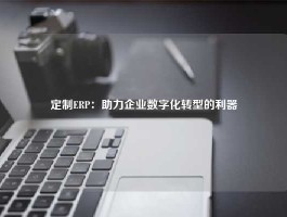 定制ERP：助力企业数字化转型的利器