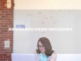预算管理系统的环节有哪些方面的内容和要求