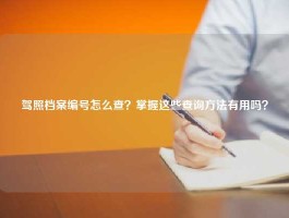驾照档案编号怎么查？掌握这些查询方法有用吗？