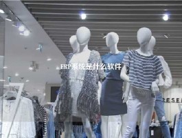ERP系统是什么软件