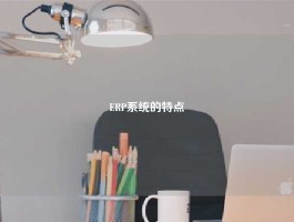 ERP系统的特点