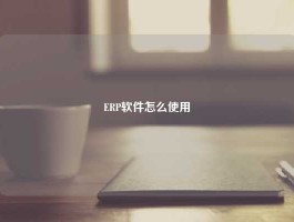 ERP软件怎么使用