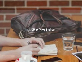 ERP发展的五个阶段