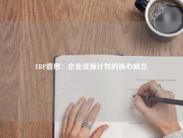 ERP意思：企业资源计划的核心概念
