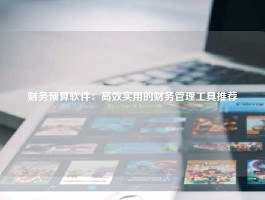 财务预算软件：高效实用的财务管理工具推荐