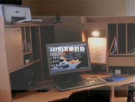 ERP的发展趋势
