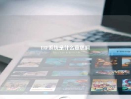 ERP系统是什么意思啊