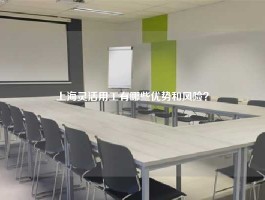 上海灵活用工有哪些优势和风险？