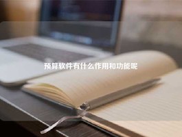 预算软件有什么作用和功能呢
