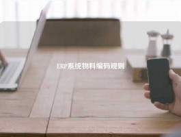 ERP系统物料编码规则